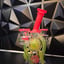 Small image 5