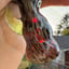 Small image 6