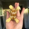 Small image 3