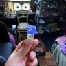 Small image 1