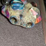 Small image 6