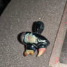 Small image 1
