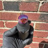 Small image 1