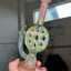 Small image 3