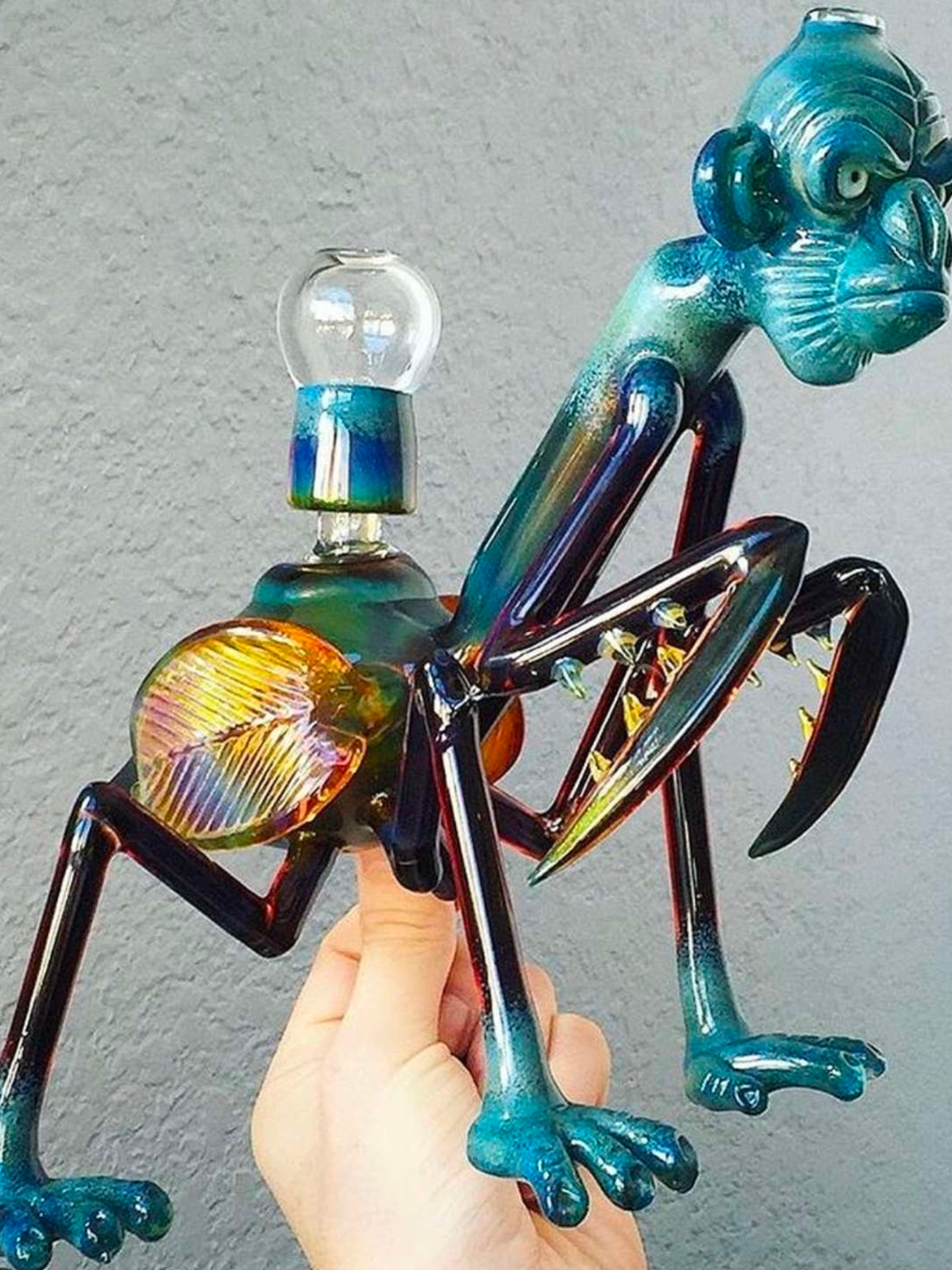 Preview pic of 2012 Coyle x burtoni mantis