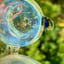 Small image 8