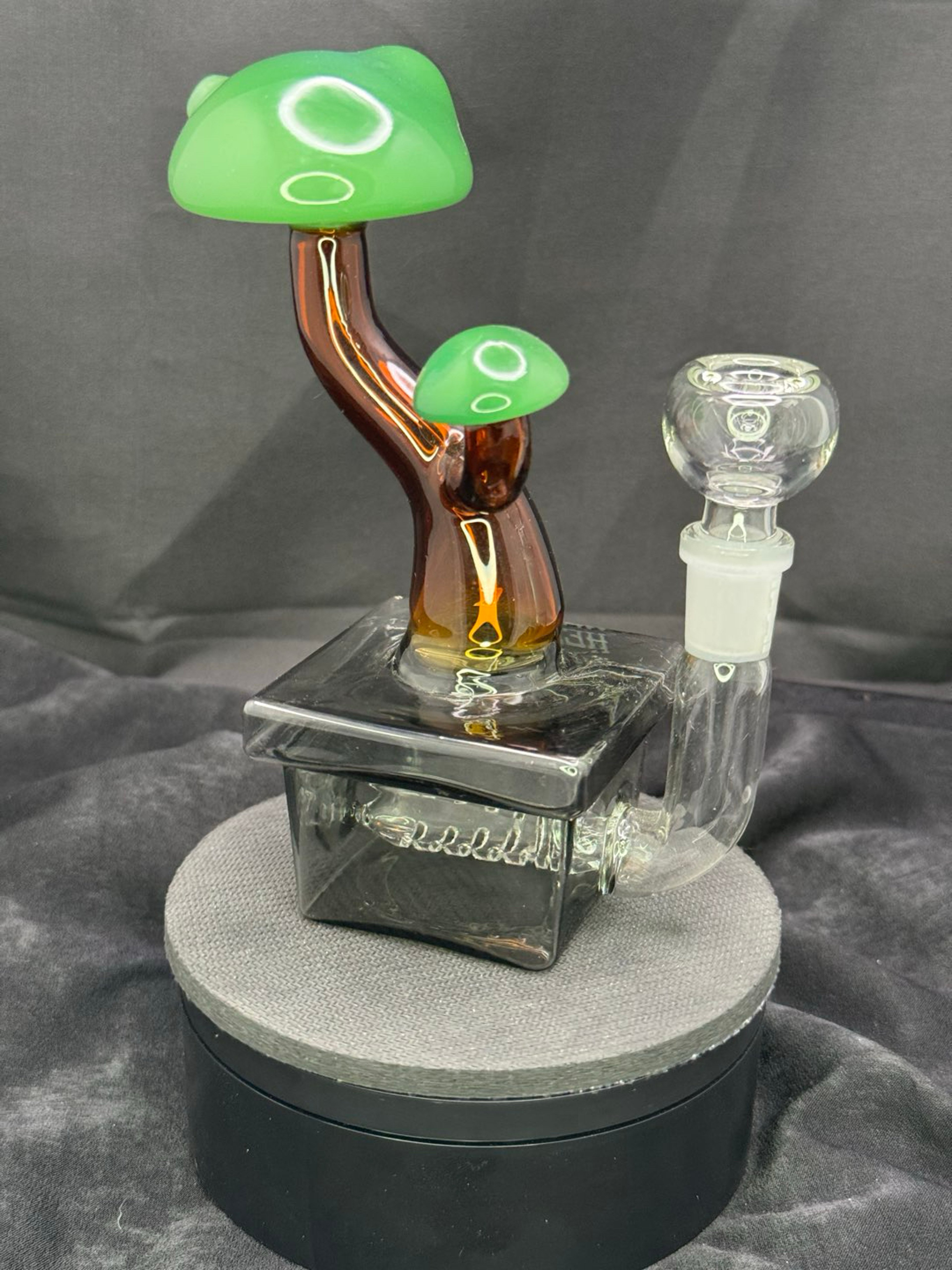 Hemper Bonsai image 0