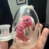 Small image 0