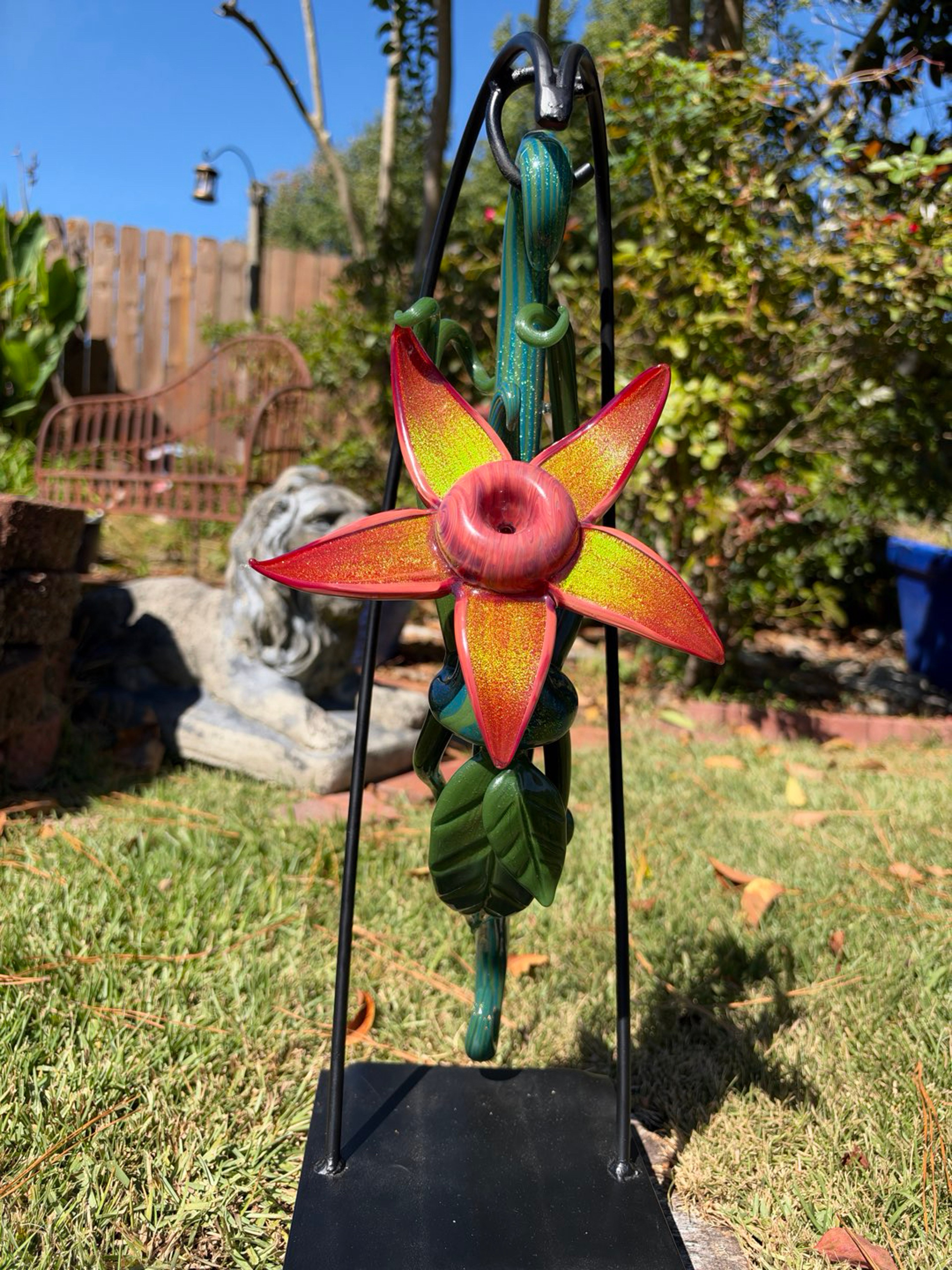 Preview pic of Darby Holm Hanging Cacti Flower Dry Sherlock