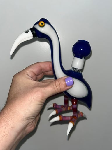 Preview pic of Burtoni kiwi bird