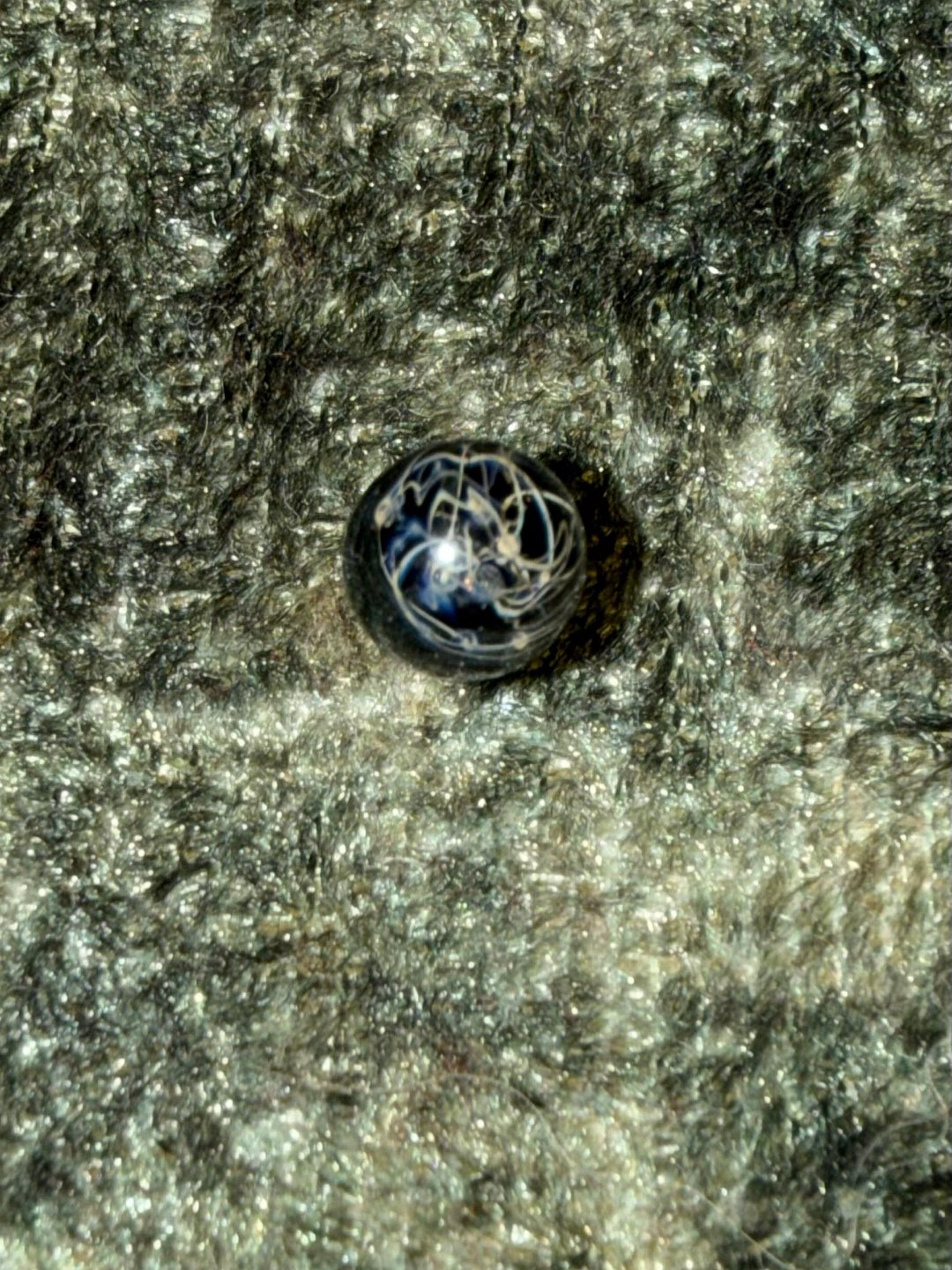 Preview pic of Congruent terp pearl