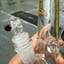 Small image 4