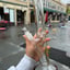 Small image 2