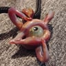 Small image 1