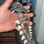 Small image 8