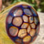 Small image 6