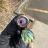 Small image 5