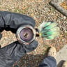 Small image 1