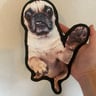 Small image 2