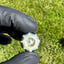Small image 6