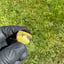 Small image 7