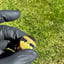 Small image 6