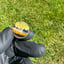 Small image 3