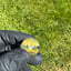 Small image 8