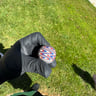 Small image 1