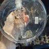 Small image 5