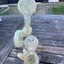 Small image 7