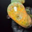 Small image 8