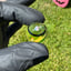 Small image 6