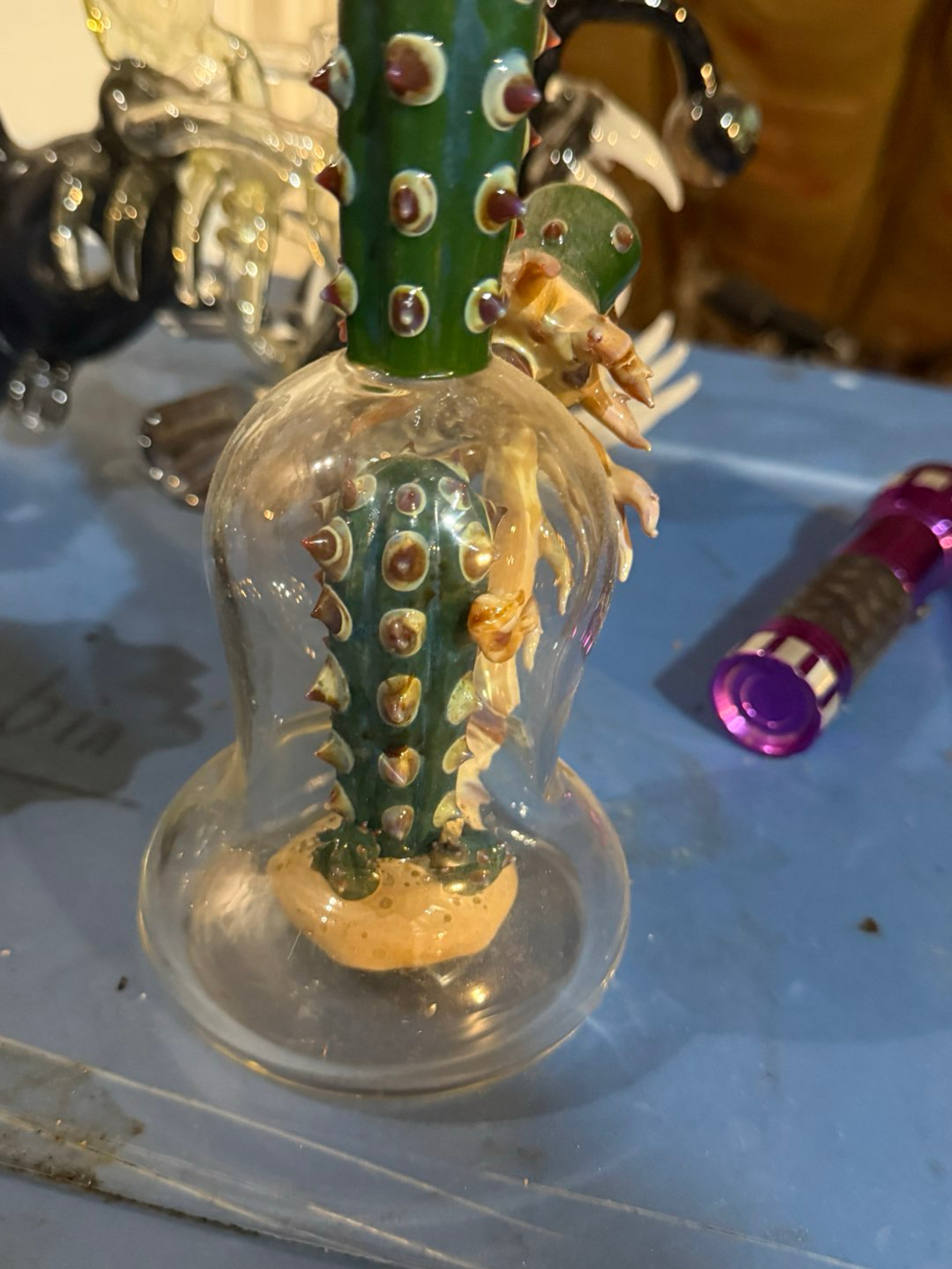 Cactus in/out design image 0