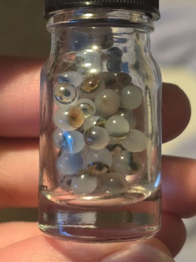 Preview pic of Eyeball pearls. Automatic entry for a chance to win a CT Max!