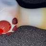 Small image 6