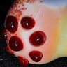 Small image 5