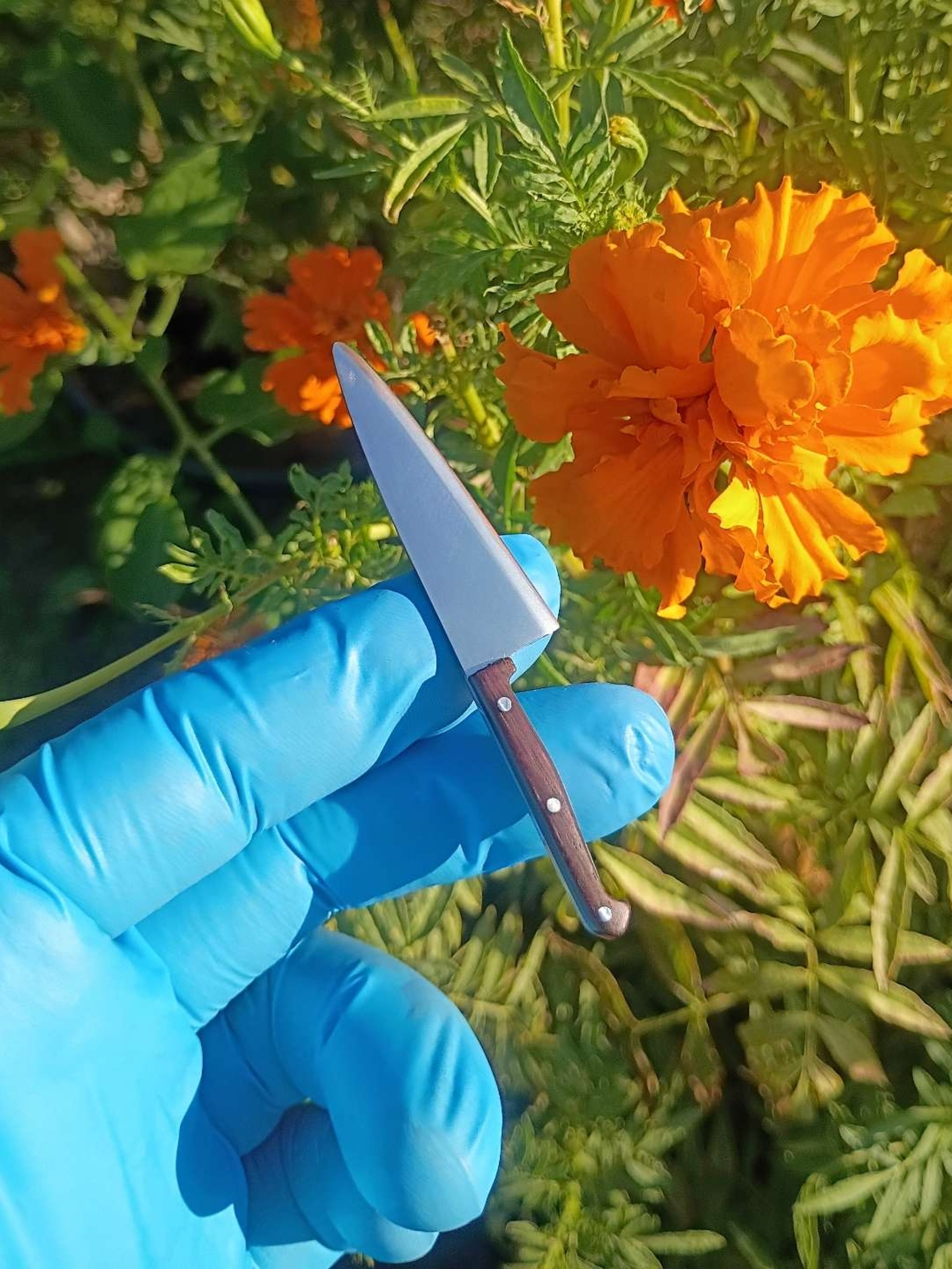 Preview pic of Blades by Mickey butcher knife