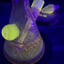 Small image 6