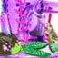 Small image 5