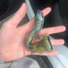 Small image 1