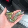 Small image 2