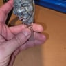 Small image 1
