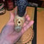 Small image 5