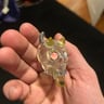 Small image 1