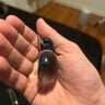 Small image 1
