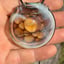 Small image 9