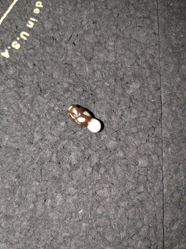 Preview pic of Morel Mushroom Pearl