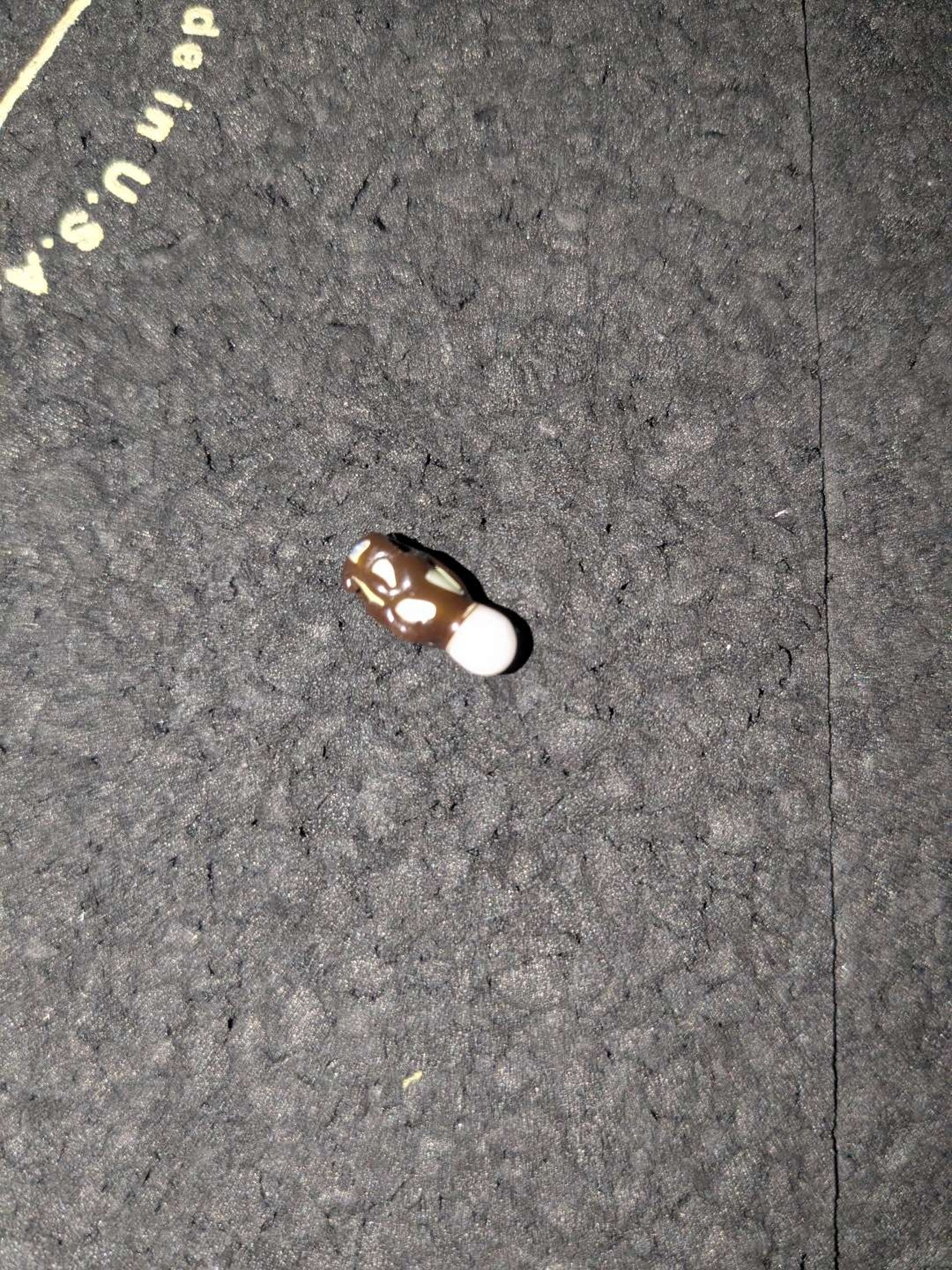 Morel Mushroom Pearl image 0