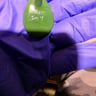 Small image 2